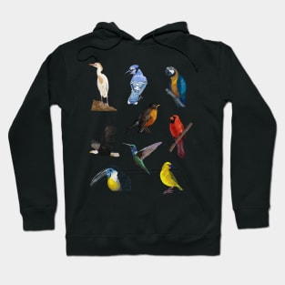 Nine Bird Illustration Pack Hoodie